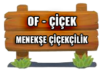 OF ÇİÇEK- Ofa Çiçek Gönder TRABZON